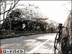 にほんブログ村 自転車ブログ ロードバイクへ
